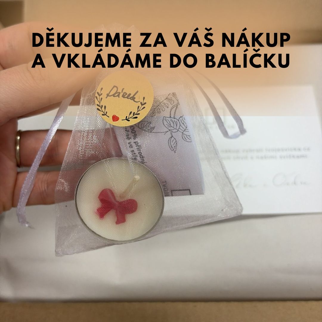 TVOJE SVICKA (Leták (A4) (1080 x 1080 px) (8)